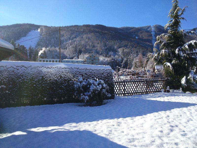 Pohorje Hotel 3*
